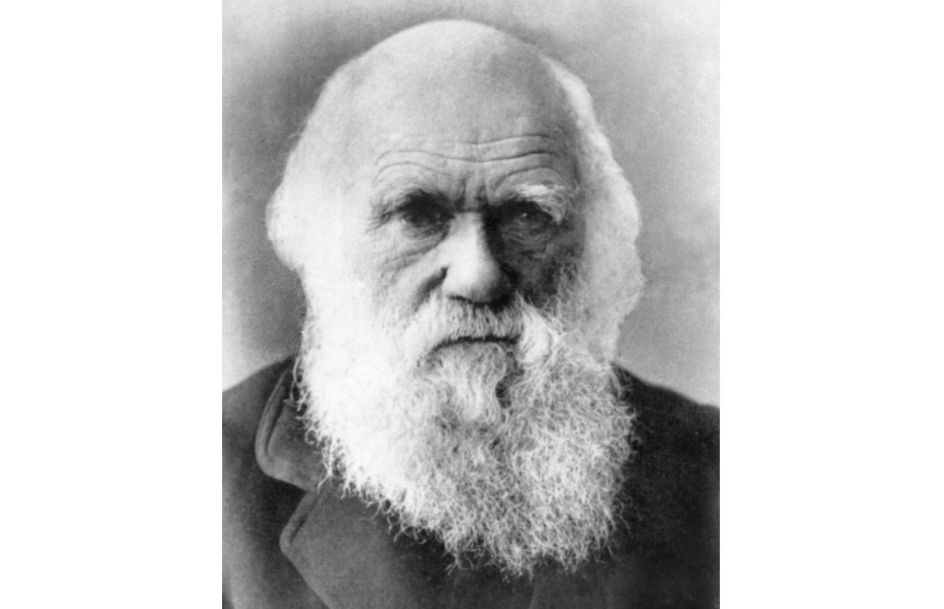 Charles Darwin: 50